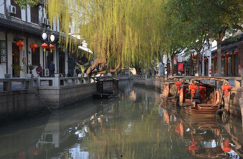 贵阳练塘新闻头条,聚焦乡村振兴，共绘美丽乡村新画卷